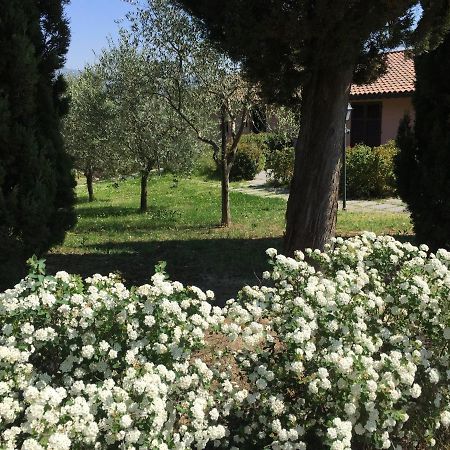 Villa Il Principino Country Resort Vinci Buitenkant foto